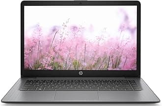 HP Portable 13.8" HD IPS Laptop, Intel Celeron N Processor Up to 2.78GHz, 4GB DDR4, 64GB SSD, HDMI, Webcam, Bluetooth, Windows 11, Pastel Black(Renewed)