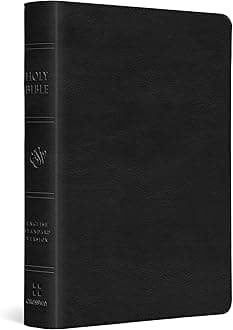 ESV Large Print Compact Bible, Red Letter (Trutone, Black)