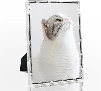 DECANIT 4x6 Picture Frame Metal,Thin Profile Photo Frame 4 by 6 Inch, Display for Wall Mounting or Tabletop,silver