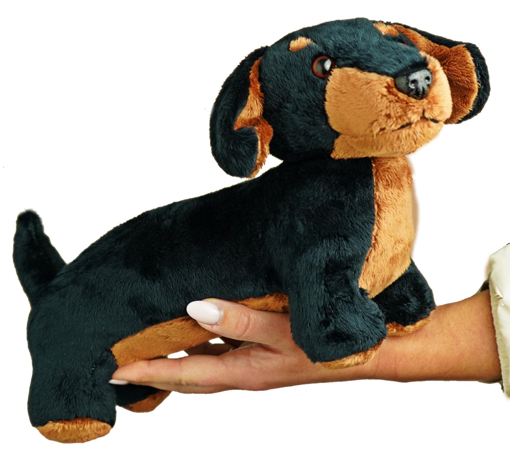 PMS 30cm Sausage Dog Teddy