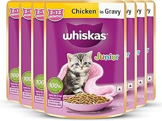 Junior Kitten (2-12 Months) Wet Cat Food, Chicken in Gravy, 80 g, Hydrating Food Made with Real Chicken, 100% Complete & Balanced Nutrition for Kittens (Pack of 7)