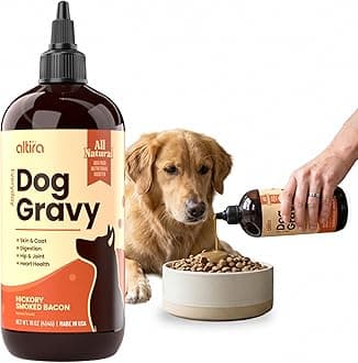 - Everyday Dog Gravy - Wet Dog Food Topper for Dry Food with Glucosamine, MSM, Chicken Bone Broth, Omega 3, Probiotics and Taurine - Skin, Coat, Heart, Hip and Joint Support, 16 oz (Bacon