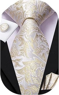 Mens Paisley Striped Tie Woven Necktie for Men and Handkerchief Cufflinks Set Wedding Formal Business
