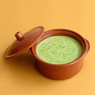 REGASSpanish Clay Pot Cocotte, Traditional Ceramic Pot (2800ml - 23cm #202, BROWN)