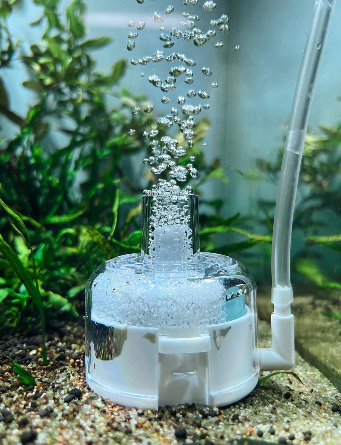 boxtech Mini Aquarium Sponge Filter,Internal Fish Tank Filter for 5-20L Fish Tank (No Include Pump and Tube)