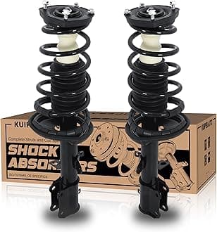 171953 171954 Rear Struts Complete Assembly Compatible for 1998-2002 Chevy Prizm / 1993-2002 Toyota Corolla / 1993-1997 Geo Prizm 2PCS (Left and Right) Rear Shocks Absorbers
