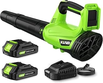 Leaf Blower, Electric Cordless Leaf Blower with 2 Batteries and Charger, 2 Speed Mode, Lightweight Leaf Blowers for Blowing Leaves, Patio Cleaning, Lawn Care and Dust, Light Green