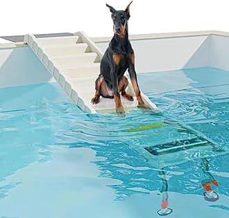 Foldable Dog Pool Ramp with 33" Legs for Free Height Adjustment,Safe & Easy Access dog water ramp for pool, Pool Ramp for Dogs Up to 200lbs (White)