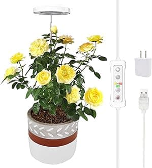 Plant Grow Light, LED Growing Light Full Spectrum for Indoor Plants,Height Adjustable, Automatic Timer, 5V Low Safe Voltage,Idea for Small Plant Light