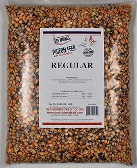 Regular Pigeon Mix (12%) 8 lbs