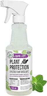Peppermint Oil Plant Protection Spray – Insect & Pest Control for Gnats, Spider Mites & Aphids – Plant-Based, Easy-to-Use - 16 oz