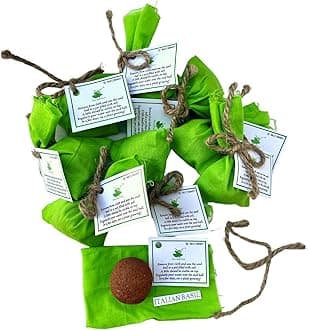 Seed Balls of Italian Basil Herb | Set of 10 Individually Packed Beej Balls | Green Gifting
