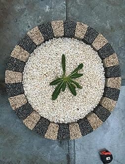 Garden Granite Circle Tree Surround Grass Border Paving Slab Stone Concrete Water Feature (CREAM/DARK GREY, 280)