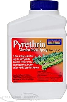 Pyrethrin Bonide Garden Insect Spray Concentrate 16 oz