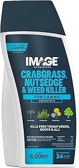 Central Garden & PET(AMBRANDS) 100523495 All-N-1 Killer Weed, 24 oz, Clear
