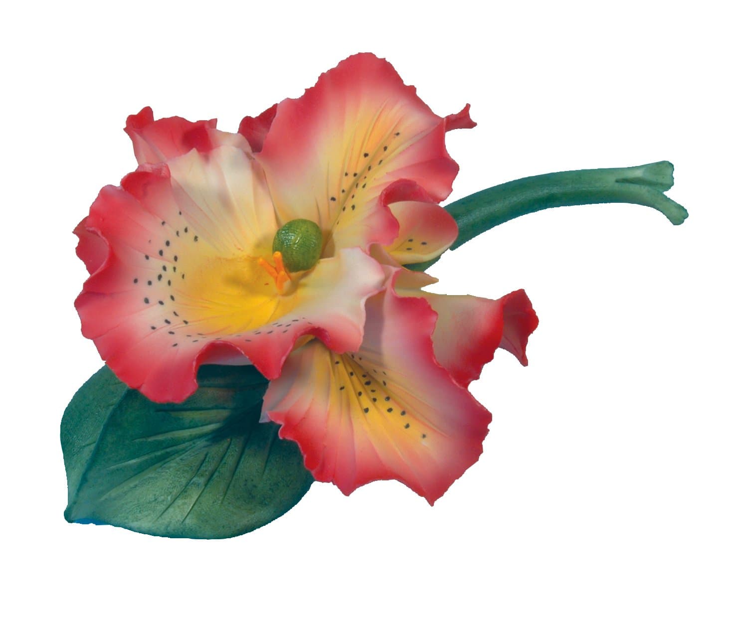 Orchid on Branch Red and Yellow