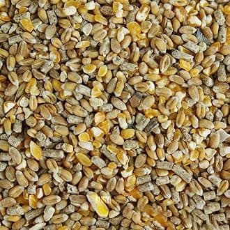BusyBeaks Chicken Corn Extra | Premium Grade Poultry Feed | Nutritious Oyster Shell, Layers Pellets, Fibre Wheat & Split Maize | High Energy, Protein-Rich Food Mix | Perfect Year-Round Seed (12.5kg)