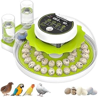 Quail Egg Incubator for Hatching 40 Quail Eggs with Automatic Turner and Humidity Control, Small Brooder, Outdoor Poultry Egg Incubator, Suitable for Parrot Canary and Other Bird