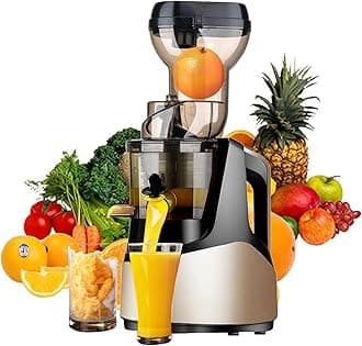 Cold Press Juicer, Slow Masticating Juicer Machines, nama juicer, Juicer Machine with 200w Large Feed Chute, Fit Whole Vegetables and Fruits, Easy to Clean silver