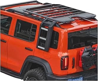 4x4 Offroad Aluminum Climb Ladder and Roof Rack Compatible with Tank 300 Car Part Auto Accessories(Ladder and Rack)