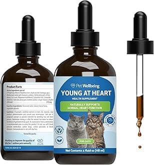 Young at Heart for Cats - Senior Feline Heart Health Support, Cardiovascular Wellness with Hawthorn & Motherwort - NASC Certified & Vet-Formulated - 4 oz Liquid Formula