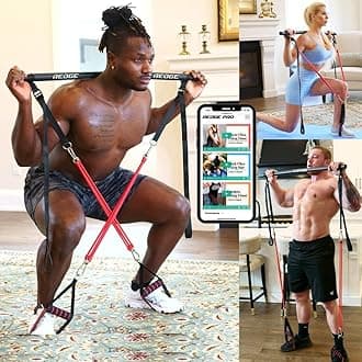 Complete Portable Full Body Home Gym Park Workout Set I Resistance Bands for Beginners to Elite Athletes I Collapsible Resistance Bar I Train Insane (Upgraded Version)