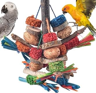 Bissap Bird Chew Toys, Natural Bark Corncob Nuts Parrot Toys and Treats for Conure Cockatoo Parakeet Budgies Cockatiel Lovebirds Pets Cage Bite Toy