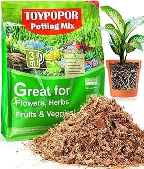 Orchid Potting Mix