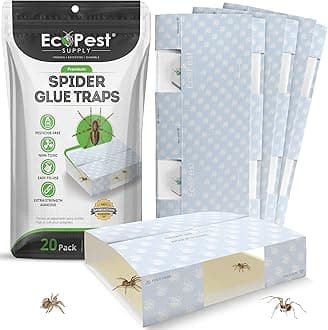 Spider Traps – 20 Pack | Sticky Indoor Glue Trap for Spiders and Other Bugs and Crawling Insects | Adhesive Spider Bait Trap, Monitor, Killer and Detector for Pest Control