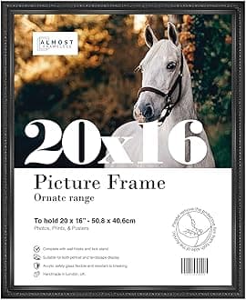 Almost Frameless20x16 Black Ornate Picture Frame 20"x16"(50.8x40.6cm) Poster, Photo, Artwork, or Print. Shabby Chic Style Portrait and Landscape Display with Wall Hooks