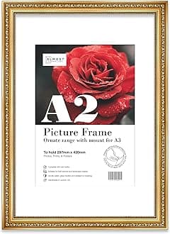 A2 Gold Ornate Picture Frame With White Mount for A3 (29.7 x 42cm - 11.7 x 16.5in) Poster, Photo, Artwork, or Print. Elegant Style Portrait Landscape Display Wall Hooks