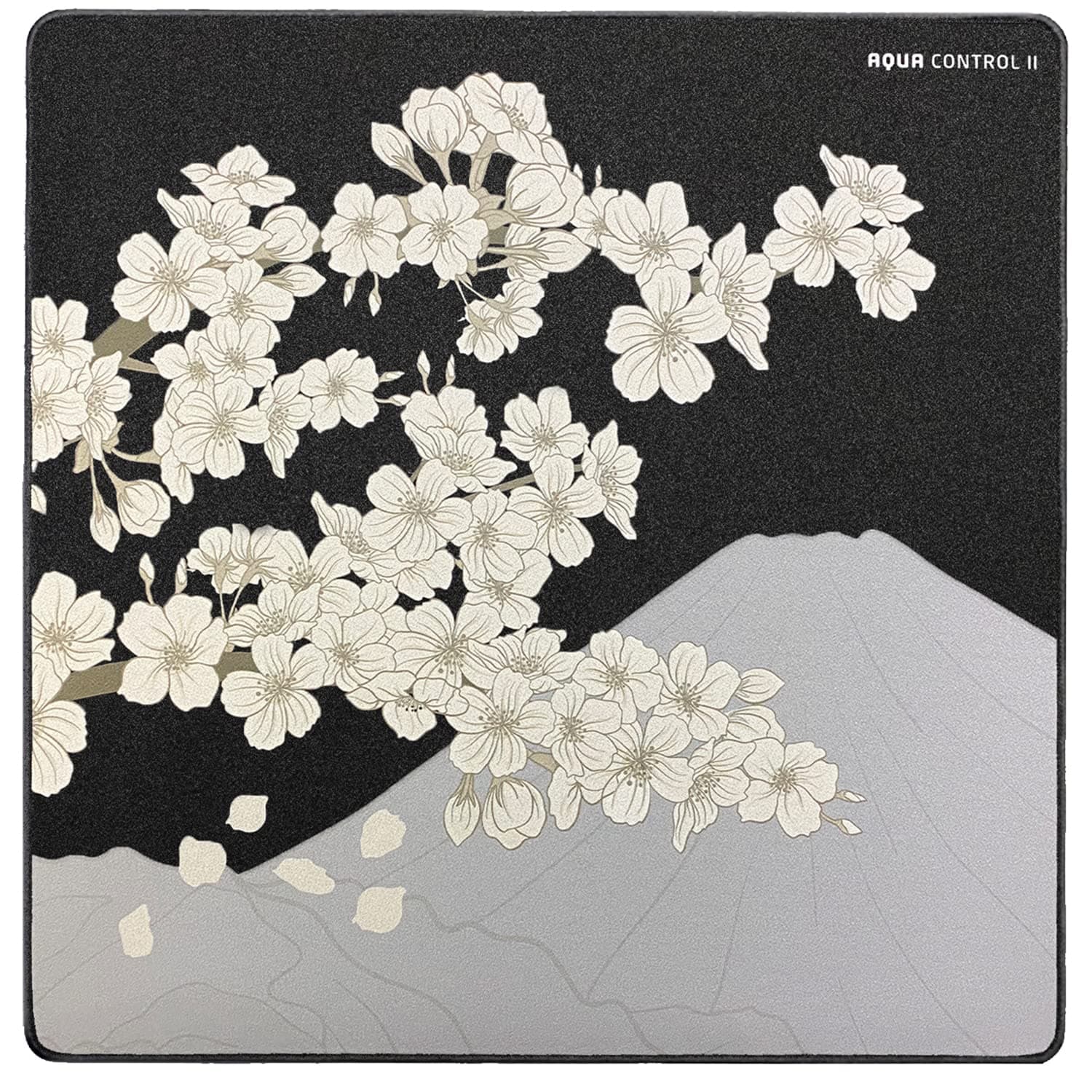 X-Raypad Aqua Control 2 Gaming Mouse Pad, Ultra-High Precision Mouse Pad with Perfect Speed and Control Capability, Consistent X and Y Glide, Designed for Fps Players with Low DPI Requirements