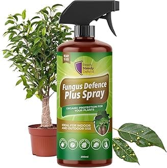 Fungus Defence Plus Spray 200ml | Organic Plant Protection | Targets Blackspot, Mildew, Leaf Spot, Blight, Rust | Ideal for Indoor & Outdoor Use | Safe on Fruits, Vegetables, Flowers | Natural Defence