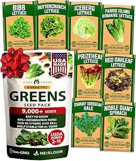 HOME GROWN Lettuce Seeds 8 Variety Mix 9000+ Bulk Pack Heirloom Non-GMO High Germination, Romaine, Bibb, Buttercrunch, Leafy Greens, Indoor Outdoor Hydroponic Garden, Cut & Come Again (Lactuca sativa)
