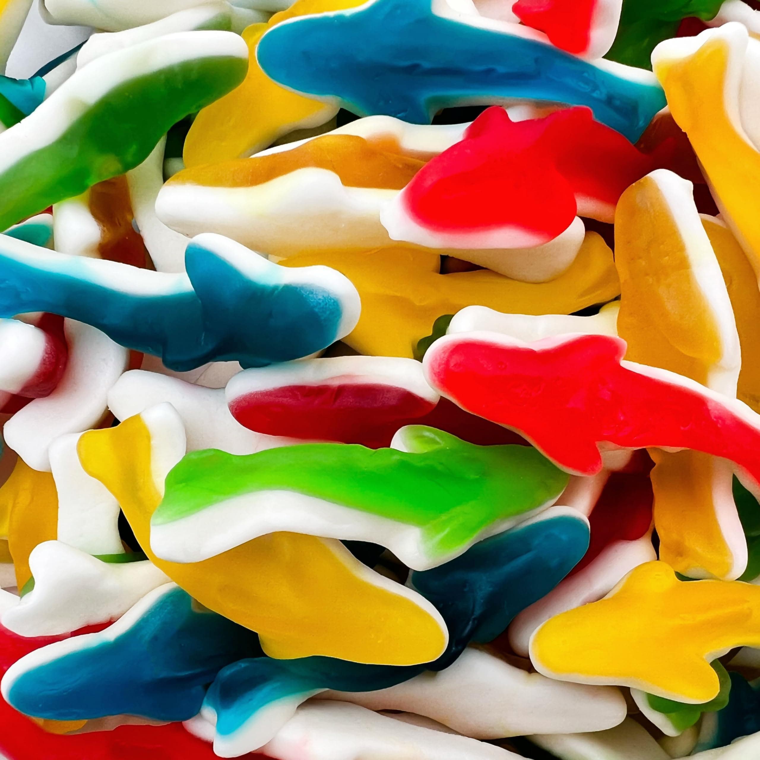 Gummy Sharks Candy - 11 Ounce Pack - Assorted Fruit Flavors