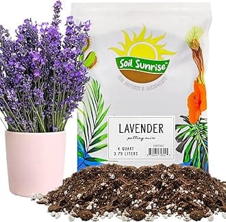 Lavender Potting Soil Mix (4 Quarts), Indoor/Outdoor Container Gardening Blend for Lavender Herb Plants
