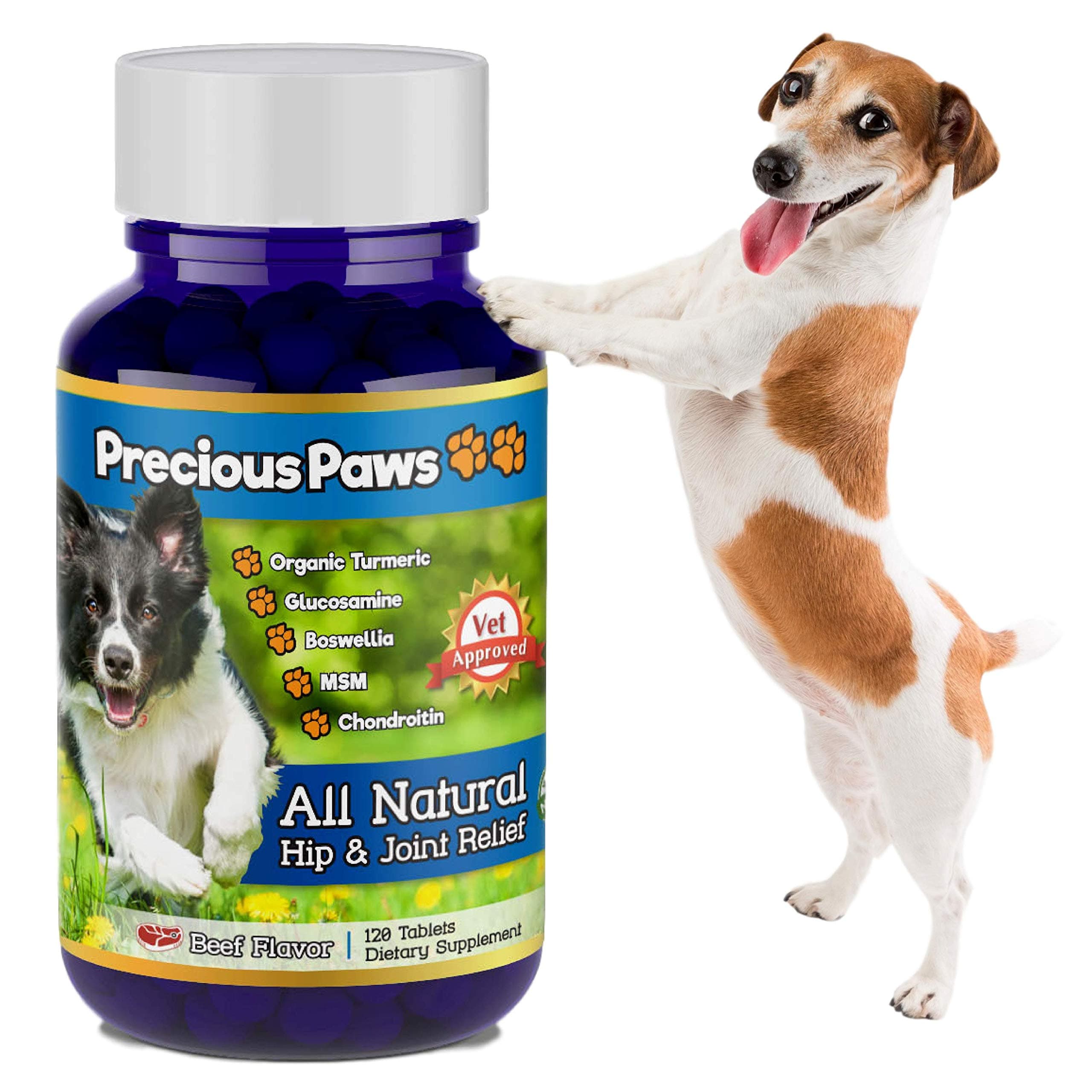 Precious Paws: All Natural Hip & Joint Support Soft Chews for Dogs | Turmeric, Boswellia, Glucosamine, Chondroitin, MSM - for Arthritis Aches, Mobility, Inflammation & Stiffness | 120 Count (Beef)