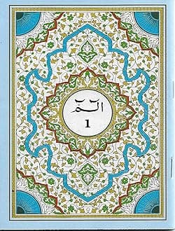 Quran 30 Para Set Arabic 2 Colours Blue 1-30 Juj With Bag Paperback – Big Book, 1 January 2019