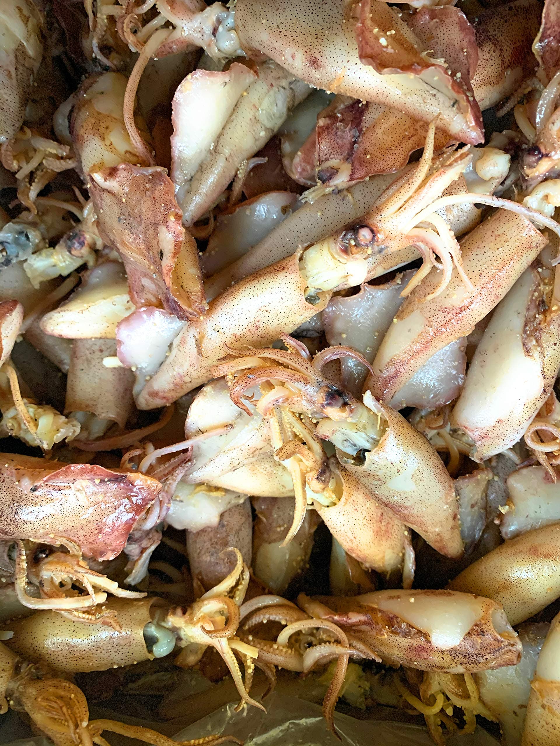 Half-Dried Squid 半干濕魷魚筒 16 oz