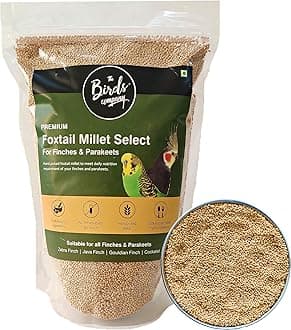 Foxtail Millet (Kangni), Bird Food for All Life Stages Canary, Finches, Waxbills, Budgies, Lovebirds, Cockatiels, Parrots & Parakeets, 450 g
