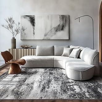 BEIMO Area Rugs for Living Room Bedroom Machine Washable Modern Abstract Soft Large Rugs with Non Slip Backing, Floor Carpet for Dining Room