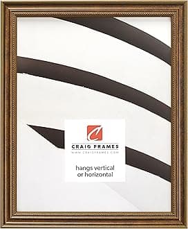 Craig Frames 314BR, Ornate Bronze Picture Frame, 24 x 30 Inch