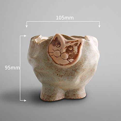 Multi-meat flowerpotcreativesimpleanimalceramic pots-C