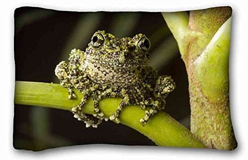 Soft Pillow Case Cover ( Everything FrogsAnimal Frog ) Pillow Covers Bedding Accessories Size 20"X30" suitable for X-Long Twin-bed PC-Bluish-34927