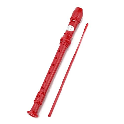 Descant Soprano Recorder 8 Hole with Cleaning Rod Basic Musical Instrument Flute for Kids School Student(Red)