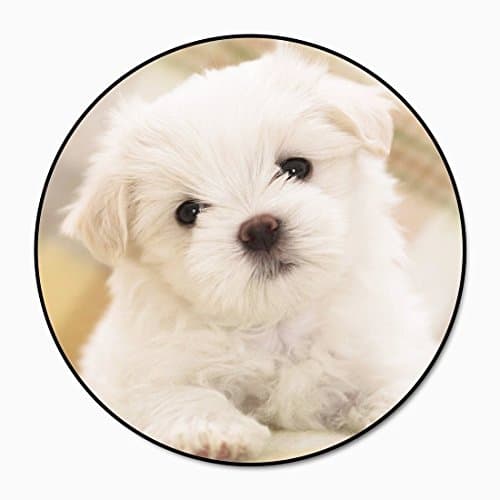 Multifunction Expanding Phone Holder Mount Pop, Supholder Cellphone Grip Release Hands Socket Stand for Smartphones and Tablets pads?Puppy?