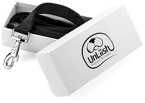 UnLiish 4ft Leash with LED lighting - USB Rechargeable for Safety and Style (Green)