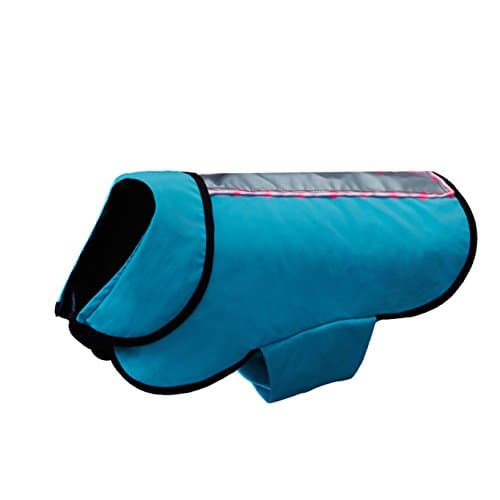 Healers Petcare Teal Light Weight Soft Shell/Mesh Back Led Jacket - Medium