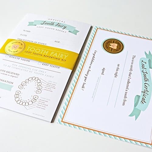 Sea Urchin Studio - Tooth Fairy Set