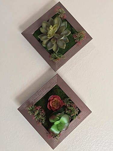 3D Artificial Plant Simulation Flower Frame Wall Decor Home Garden Decorative Art Wall Hanging Flower-Set of 2--6" x 6"